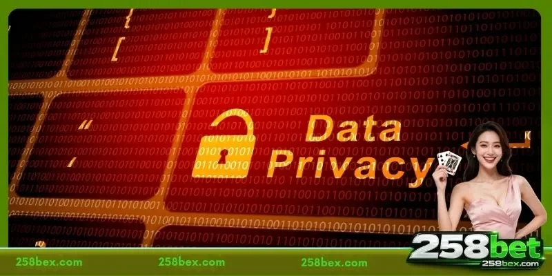 Information Gathering and Security Framework of the 258BET Privacy Policy